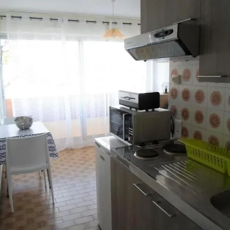 Mini-studio Proche Thermes, Commerces Et Activites - Animaux Bienvenus! - Fr-1-503-54 Apartment *