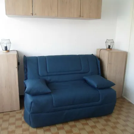 Mini-studio Proche Thermes, Commerces Et Activites - Animaux Bienvenus! - Fr-1-503-54 Balaruc-les-Bains